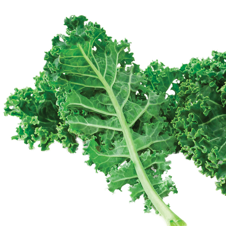 Kale
