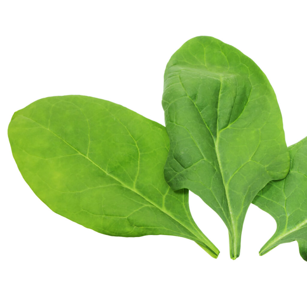 Spinach