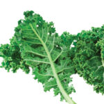 Kale