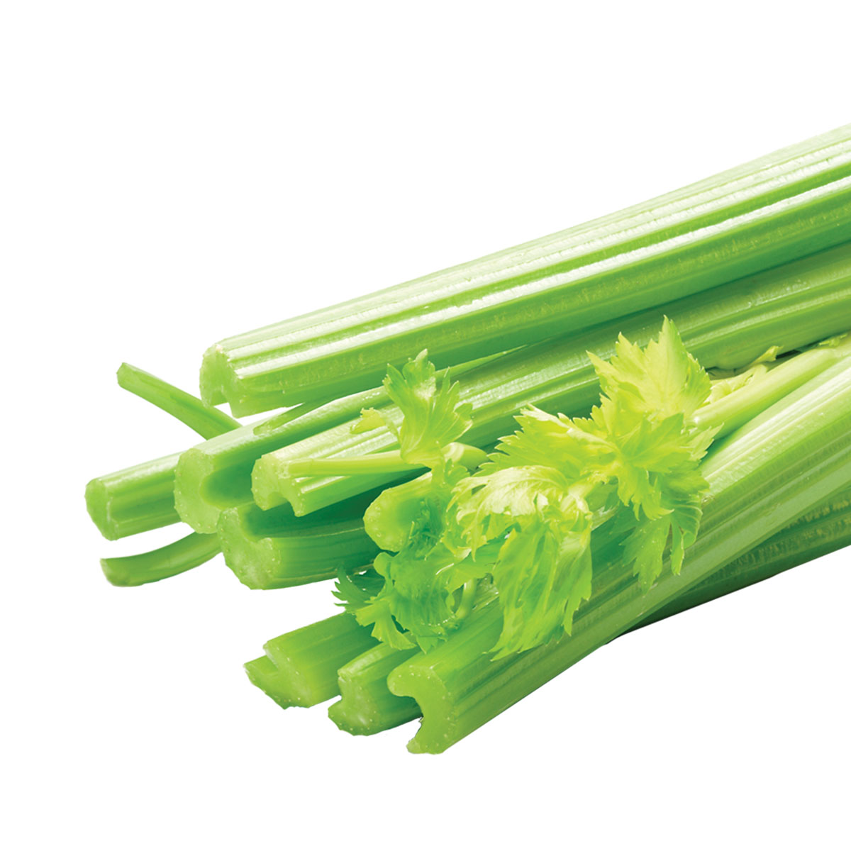 Celery