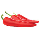 Pepper