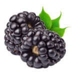 Blackberry