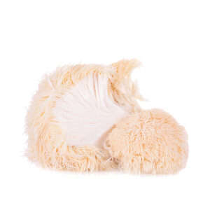 Lions Mane