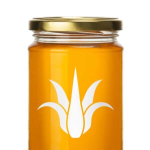 Agave